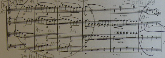 Musikalisches Coaching